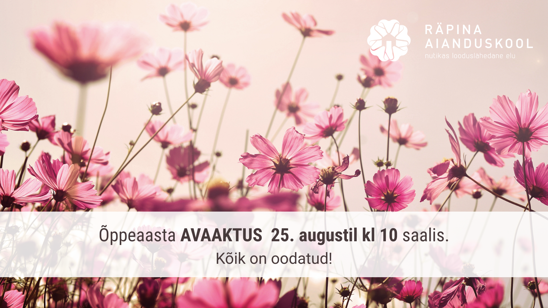Uus õppeaasta algab 25. augustil